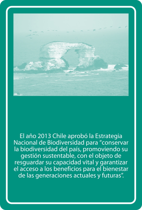 Portada Reverso